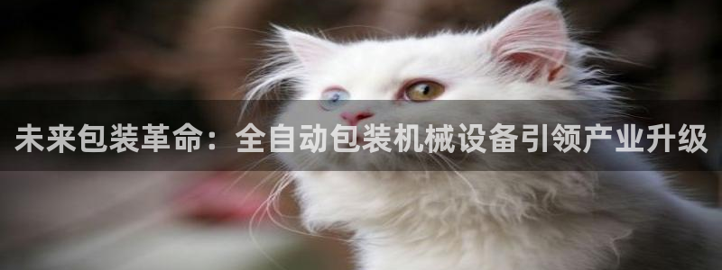 鸿运平台主管