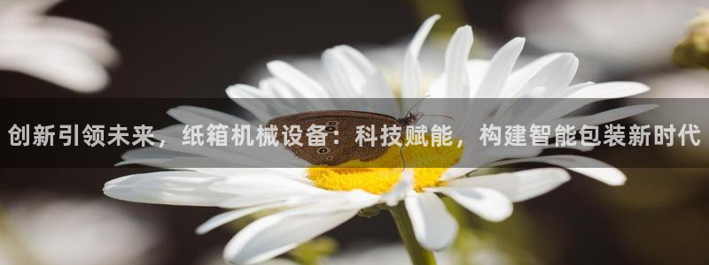鸿运彩票平台可靠吗