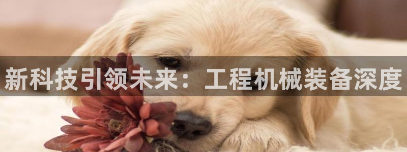 鸿运平台app