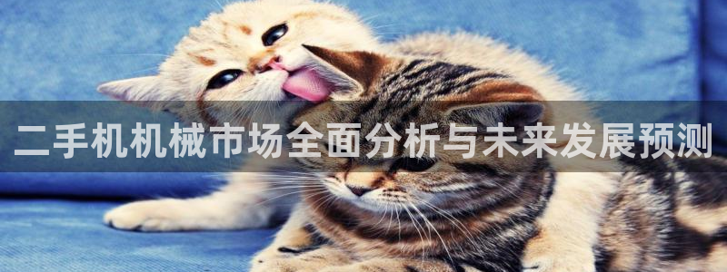 鸿运赌场开户平台