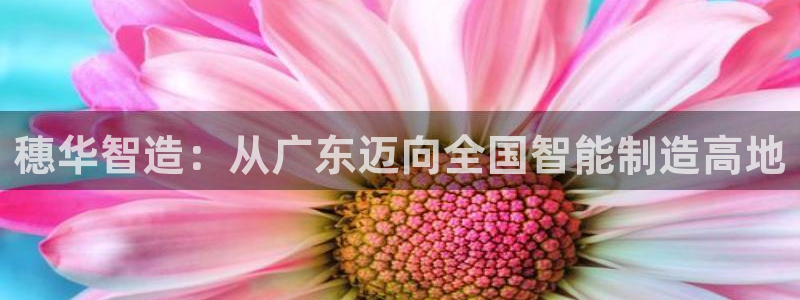 鸿运在线是什么平台