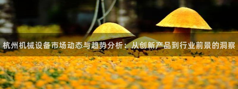 鸿运购彩专业平台