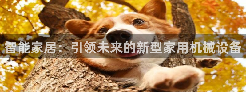 众信鸿运平台
