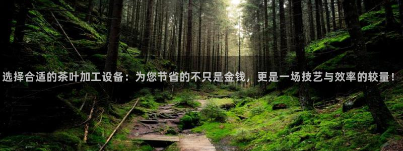 琥珀鸿运平台登录页面