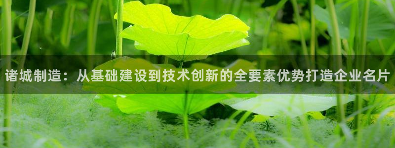 鸿运是什么平台