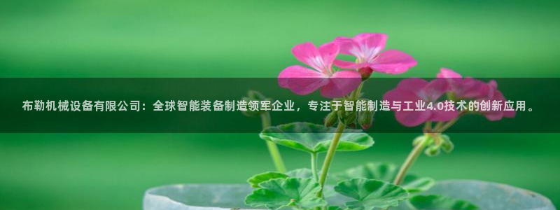鸿运直播平台