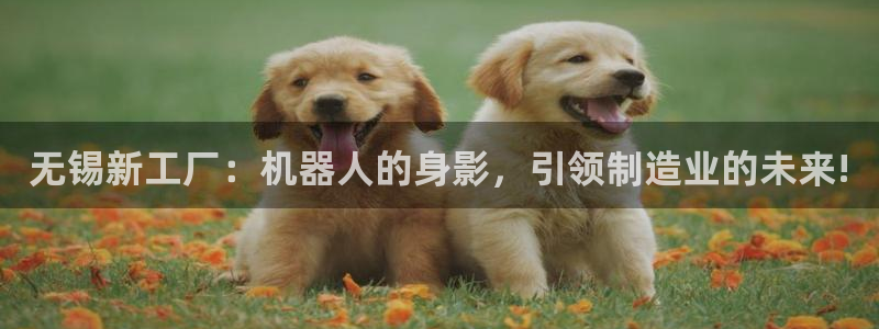 鸿运彩票平台官网