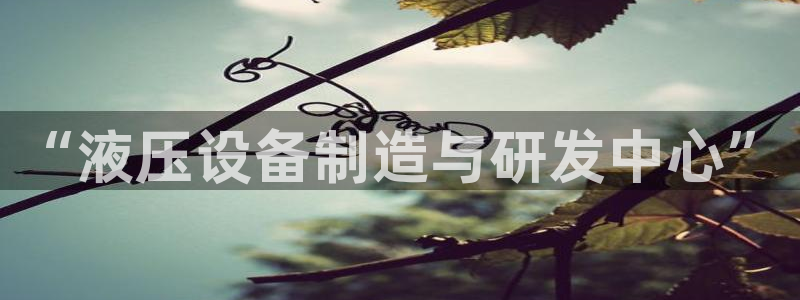 鸿运手游平台