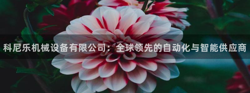 鸿运平台运