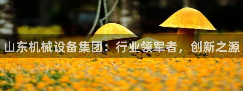 鸿运彩票专业购采平台