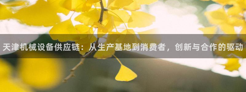 鸿运服务平台