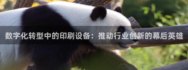 鸿运直播平台会员