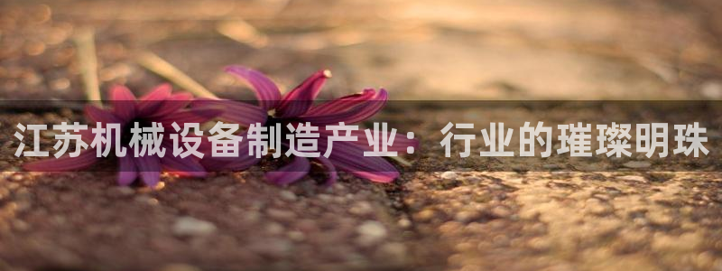 鸿运到平台