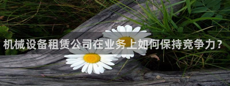 琥珀鸿运是什么平台