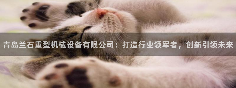 鸿运平台娱乐