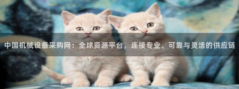 鸿运管理平台