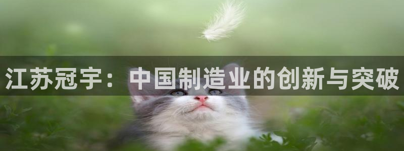 鸿运赌场视讯平台