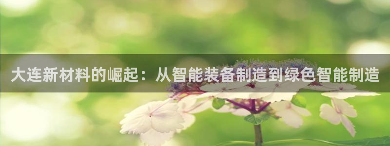 鸿运投资平台