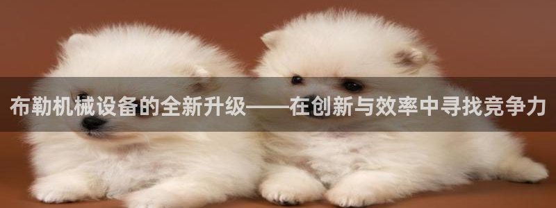 鸿运平台注册流程视频