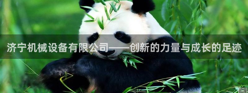 鸿运集团平台招聘信息