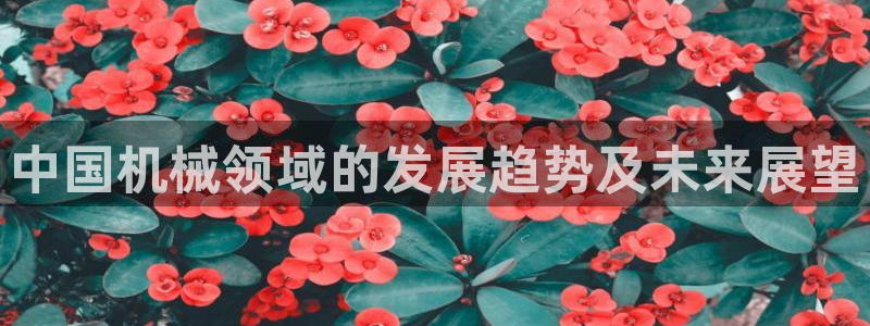 鸿运大发总代理平台