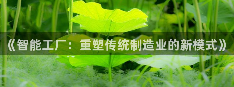 鸿运pc平台