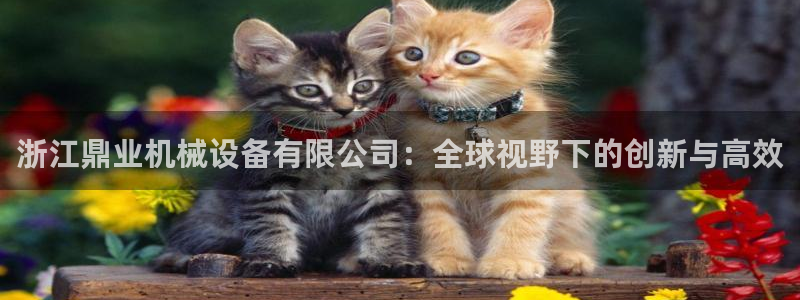 鸿运到游戏直播平台