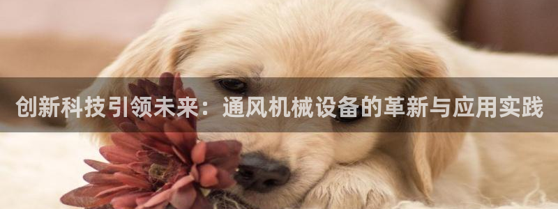 鸿运最新平台下载