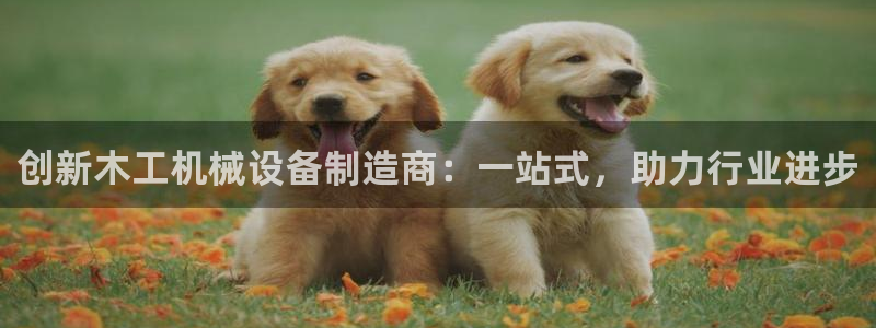 琥珀鸿运是什么平台