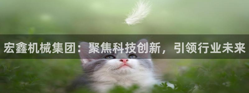 鸿运购平台