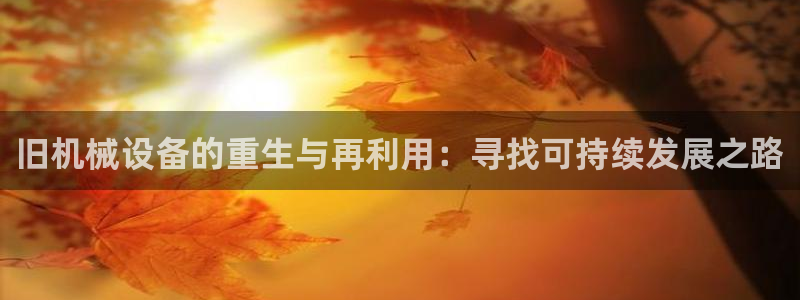 鸿运平台是什么