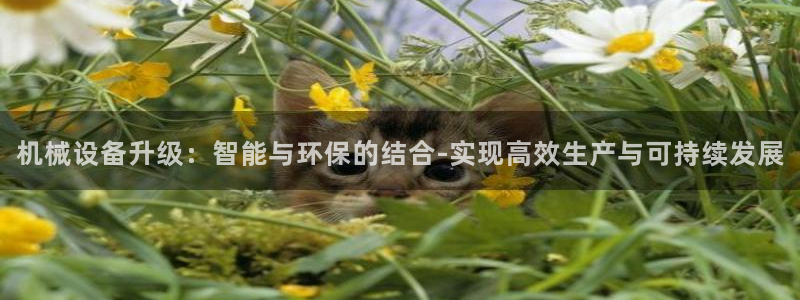 鸿运最新平台是什么