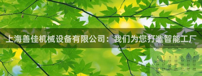 鸿运升降机械平台