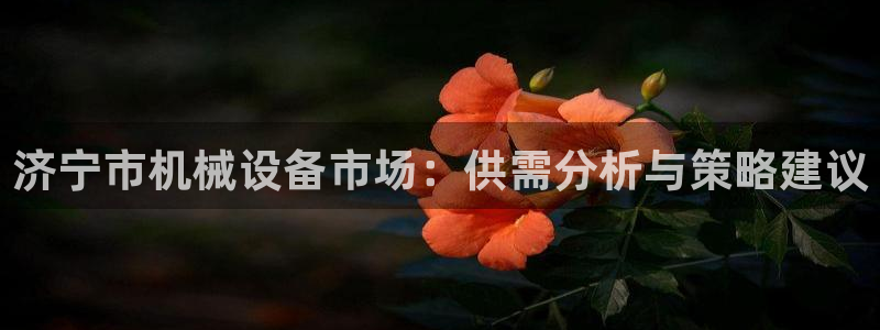 鸿运彩票平台官网