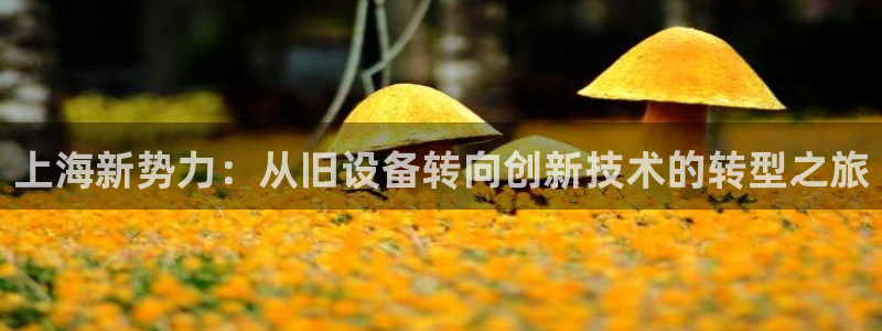 香港鸿运平台