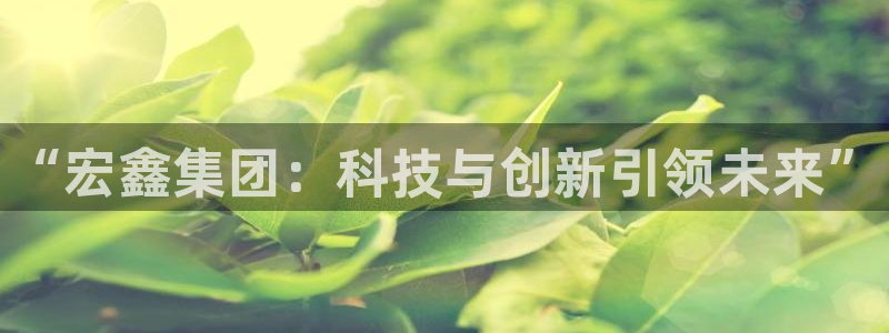 鸿运集团有几个平台