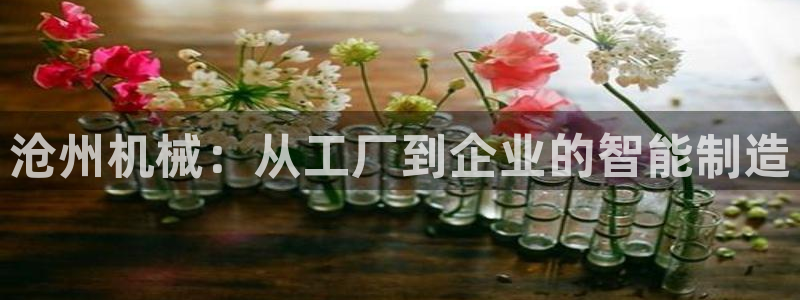 鸿运当头社交平台