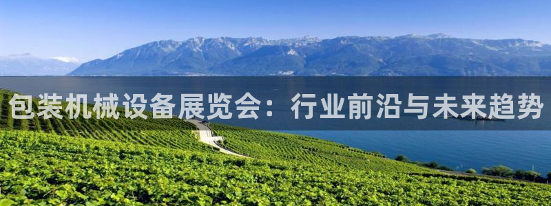 鸿运合拍字画拍卖平台