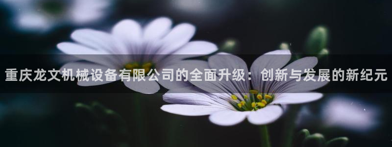 鸿运平台代理理