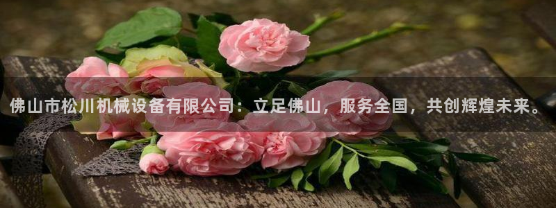 鸿运平台刷流水