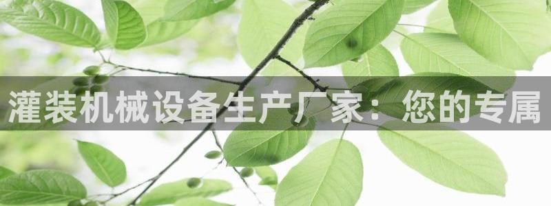 鸿运彩票平台登入
