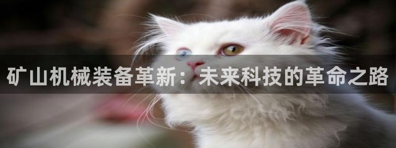 大发鸿运平台网址