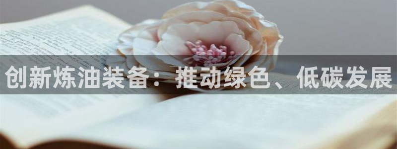 鸿运小说阅读平台