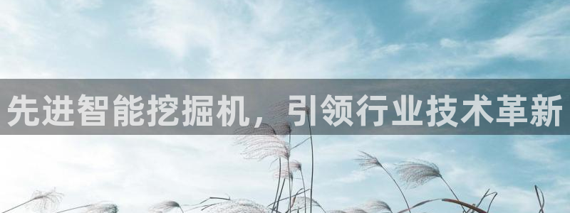 鸿运专业购彩平台网止