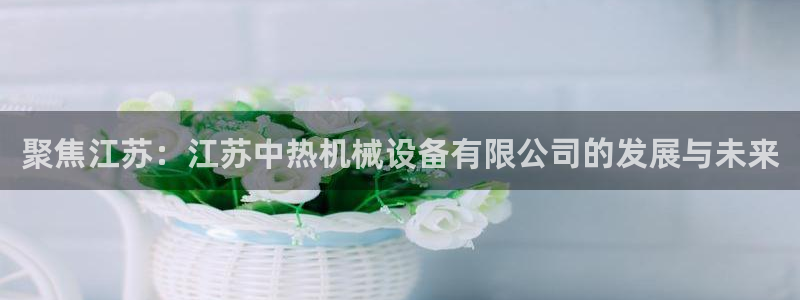 鸿运国际平台咋样