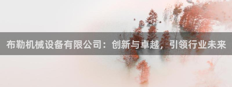 鸿运国际app平台