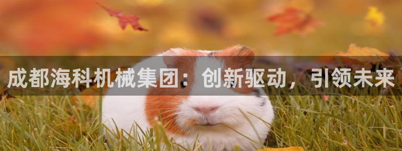 鸿运瓦罐团购平台