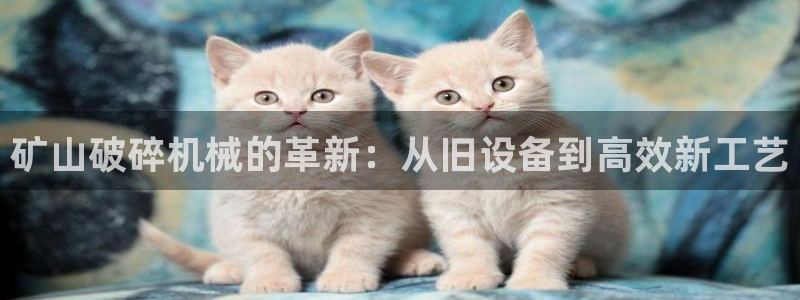 鸿运到平台被骗