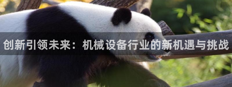 鸿运宝理财平台