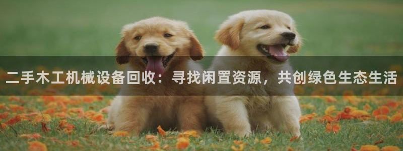 鸿运当头贷款平台